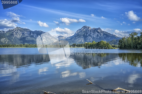 Image of Neuschwanstein at Forggensee lake