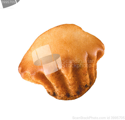 Image of single muffin isolated