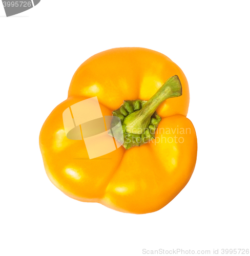 Image of sweet yellow pepper isolated on white