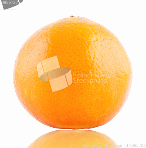 Image of Orange isolated