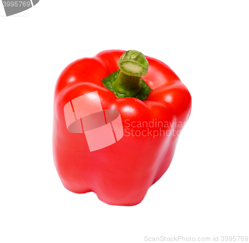 Image of Red Bell Pepper over white background