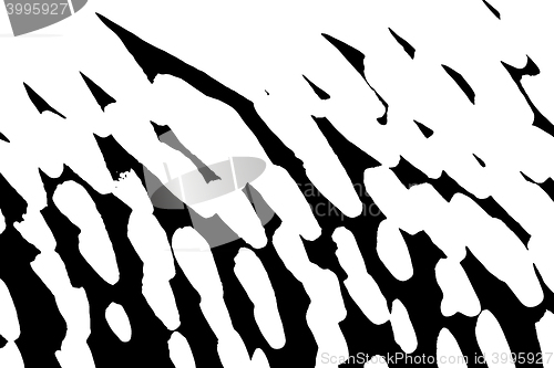 Image of Grunge white and black wall background. Vector illustration.