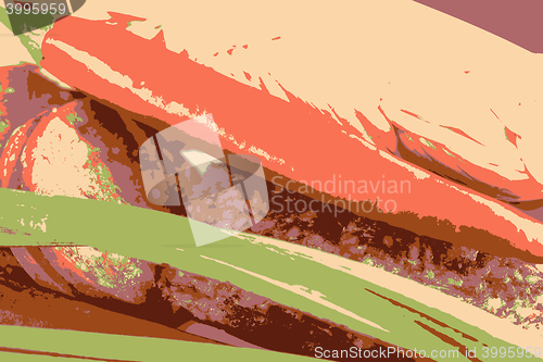 Image of salami and red pepper vector illustration