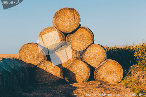 Image of Straw bales on farmland in the sunset