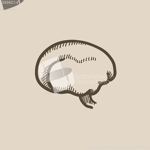 Image of Brain sketch icon.