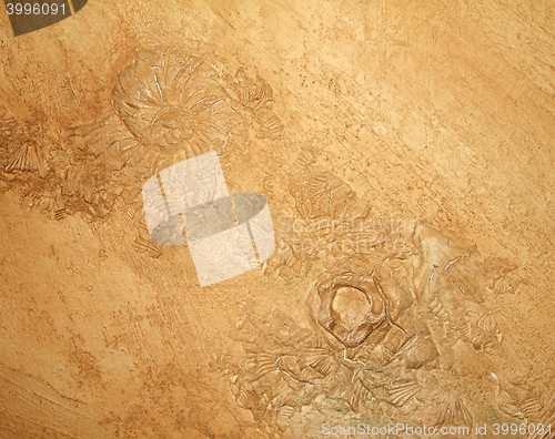 Image of Shell in stone sediment abstract background
