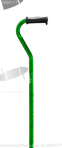 Image of green walking stick under thew white background