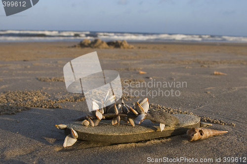 Image of Abandoned flip-flop