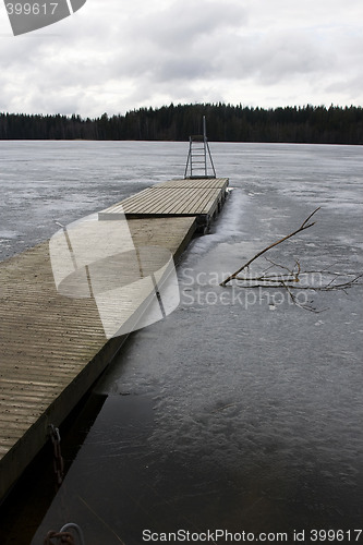 Image of Swimming platform