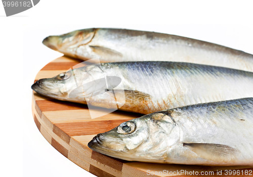 Image of Fresh fishes on white background