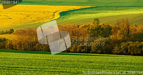 Image of Beautiful spring rural landscape