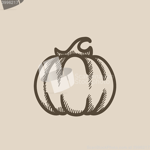 Image of Pumpkin sketch icon.