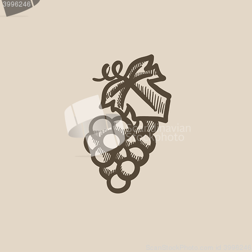 Image of Bunch of grapes sketch icon.