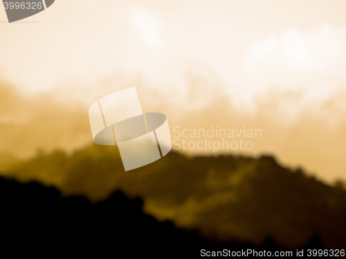 Image of Blurred nature background