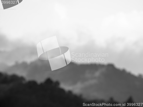 Image of Blurred nature background