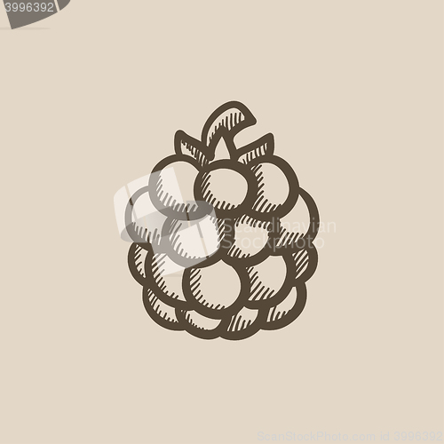 Image of Raspberry sketch icon.