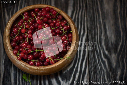 Image of Fresh red currants