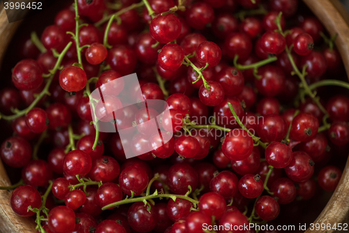 Image of Fresh red currants