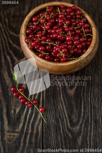 Image of Fresh red currants