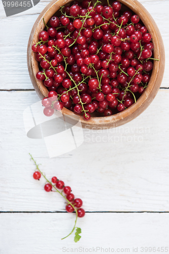 Image of Fresh red currants