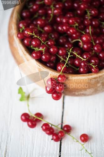 Image of Fresh red currants