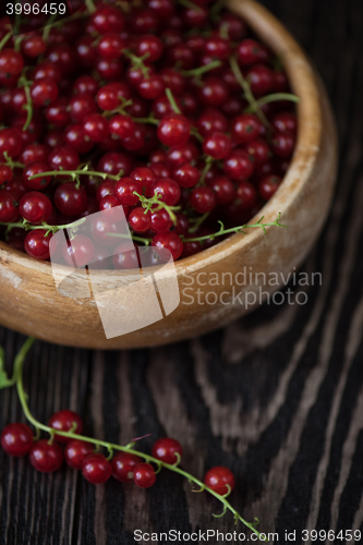 Image of Fresh red currants