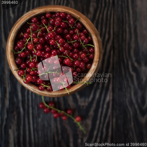 Image of Fresh red currants