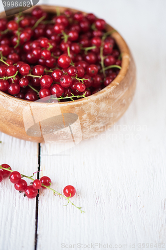 Image of Fresh red currants