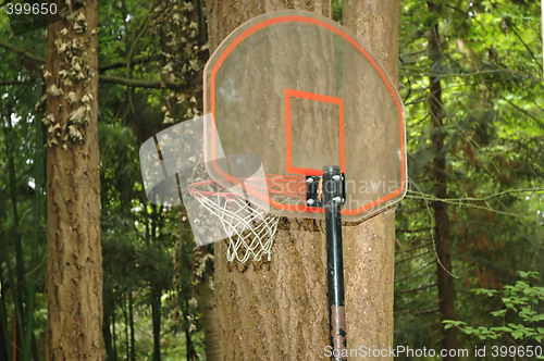 Image of Basketball Net