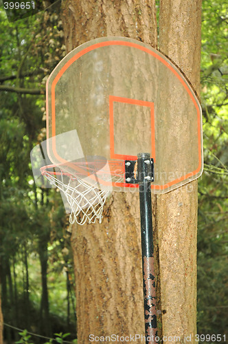 Image of Basketball Net