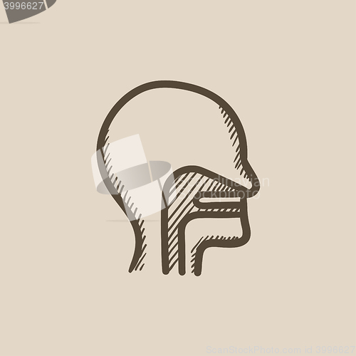 Image of Human head with ear, nose, throat sketch icon.