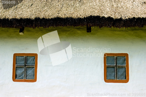 Image of Rural house in Ukraine