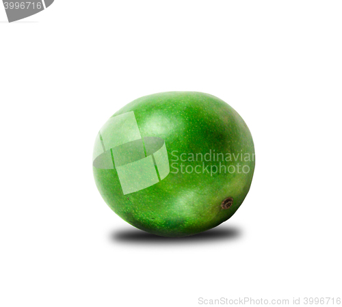 Image of Whole Green Mango