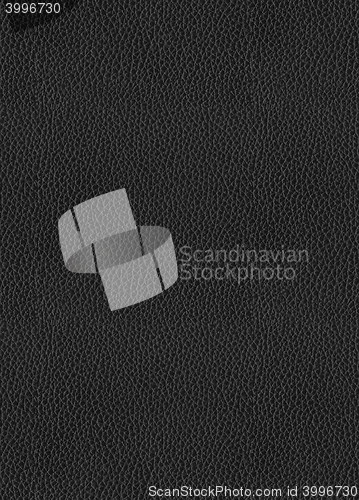 Image of black leather background
