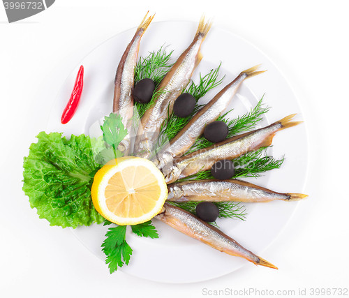 Image of anchovies on white background