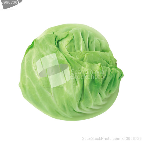 Image of Fresh green cabbage vegetable