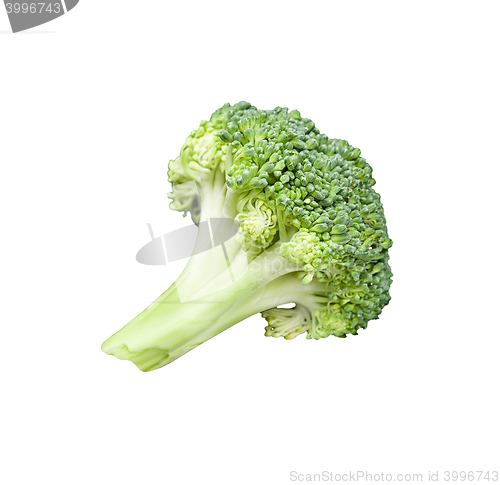 Image of Broccoli on White Background