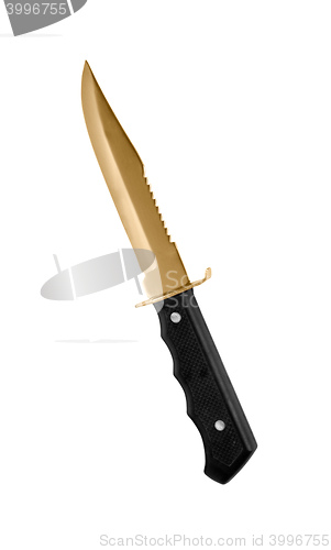 Image of hunter combat hand made knife isolated