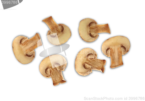 Image of agaricus mushrooms isolated on a white background