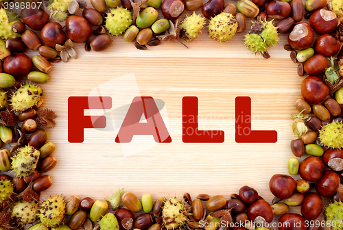 Image of FALL written on wood with border of beechnuts, conkers, acorns