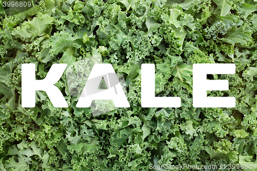 Image of KALE text over shredded kale leaves background