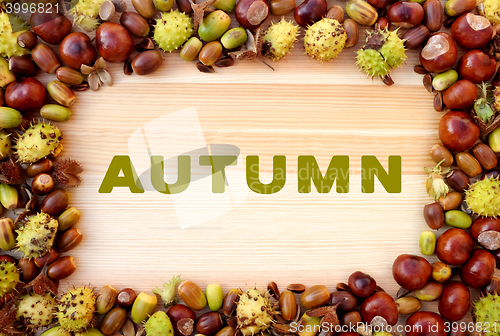 Image of AUTUMN written on wood with border of beechnuts, conkers, acorns
