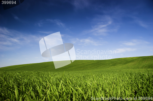 Image of Spring field