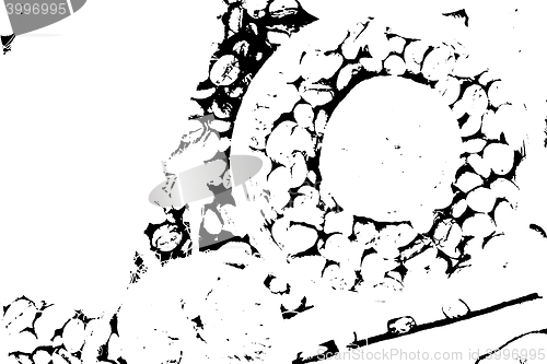 Image of Grunge black and white wall background vector