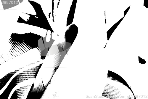Image of Grunge black and white wall background vector