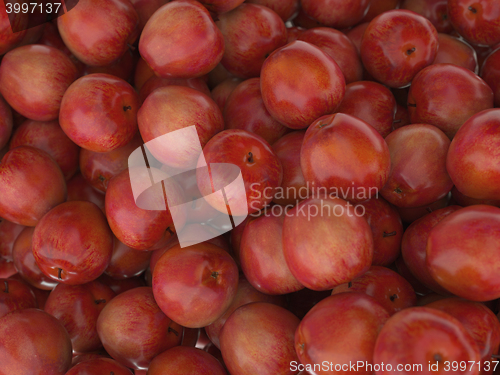 Image of Group of many Red ripe apples