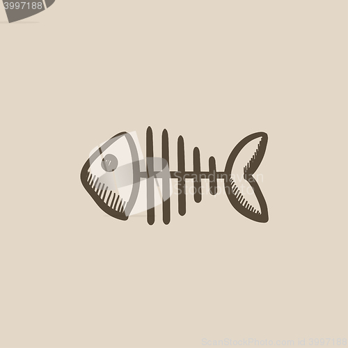 Image of Fish skeleton sketch icon.