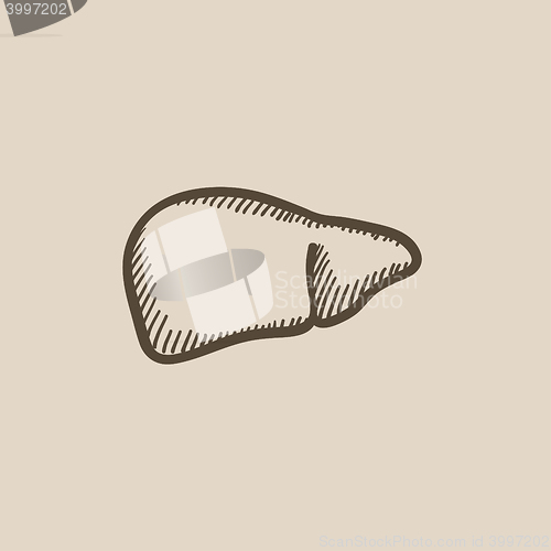 Image of Liver sketch icon.