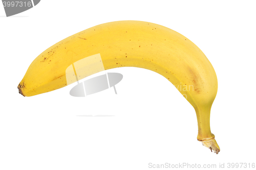 Image of Banana on white background