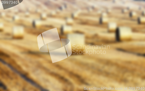 Image of agriculture, not in focus